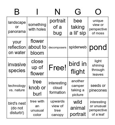 nature photography bingo Card