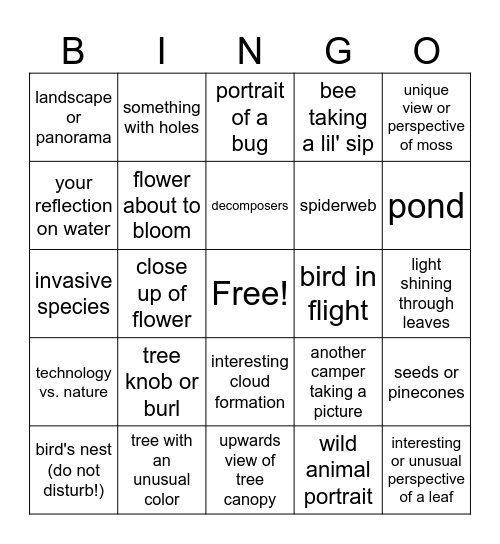 nature photography bingo Card