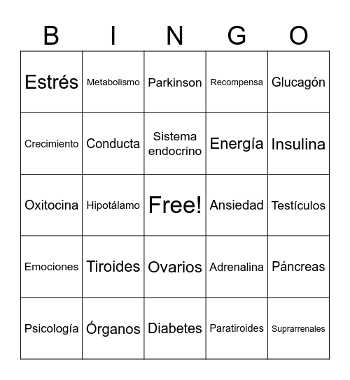 Sistema endocrino Bingo Card