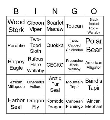 Volunteer Staff Bingo Card