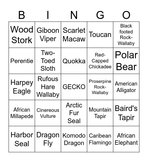 Volunteer Staff Bingo Card