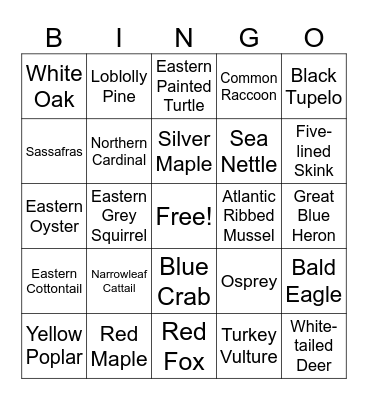 Field Guide Bingo Card