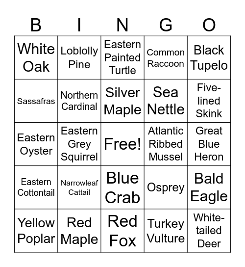 Field Guide Bingo Card