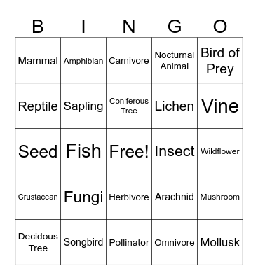 Nature Group Bingo Card