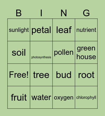 Parts of a Plant Bingo Card