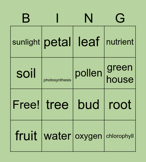Parts of a Plant Bingo Card