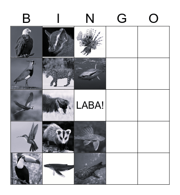 Bingo animal da LABA!!! Bingo Card