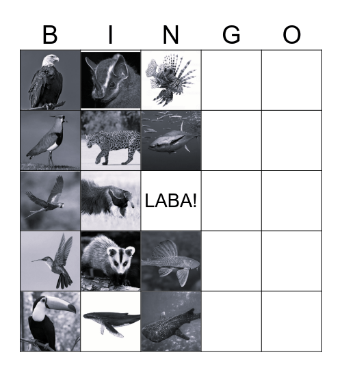 Bingo animal da LABA!!! Bingo Card