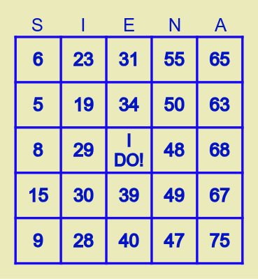 Bridal Shower BINGO Card