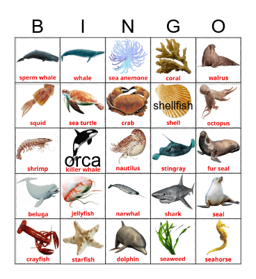 SEA ANIMALS Bingo Card