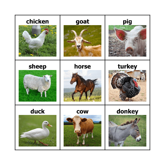 Farm Animal BINGO Card