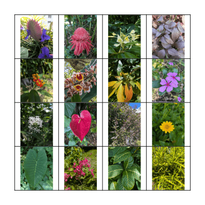 Art Healthcare Nature Walk Bingo Card