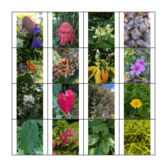 Art Healthcare Nature Walk Bingo Card