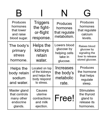 Endocrine BINGO Card