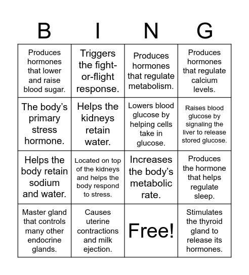 Endocrine BINGO Card