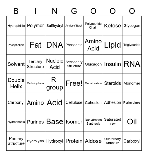 Week Four Defintion Bingo Card