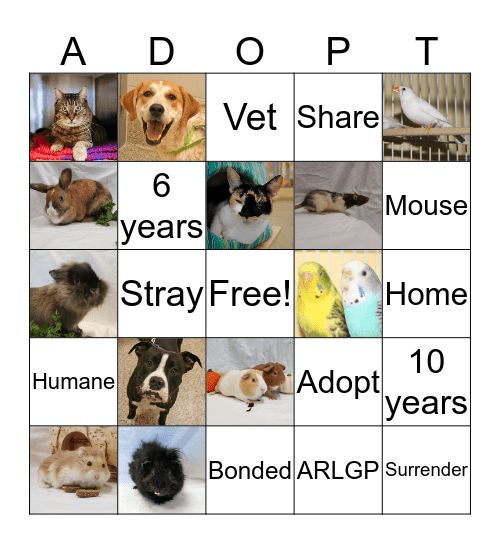 Animal Refuge League Bingo Card