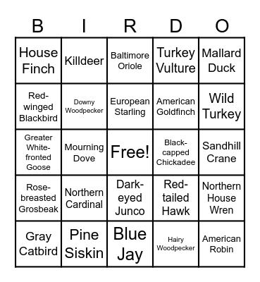 Bird Bingo! Bingo Card