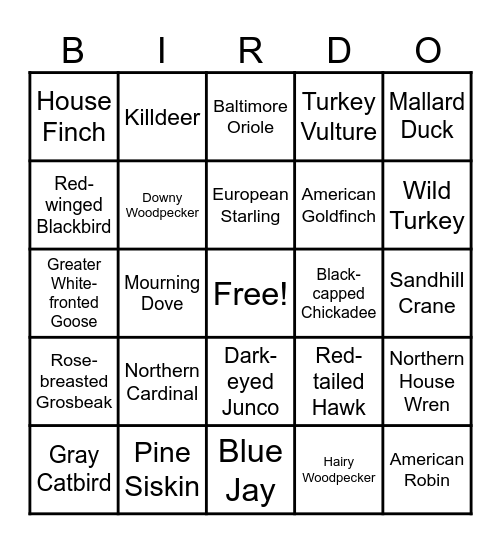 Bird Bingo! Bingo Card