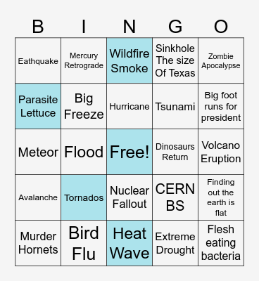 2026 Disaster BINGO Card