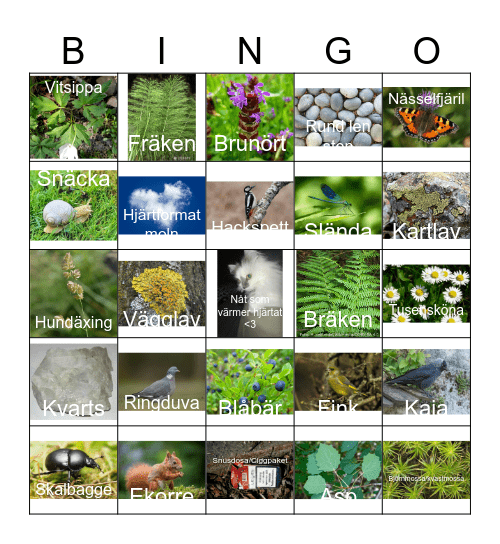 Naturbingo Card