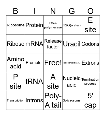 The Central Dogma of Biology Bingo Card
