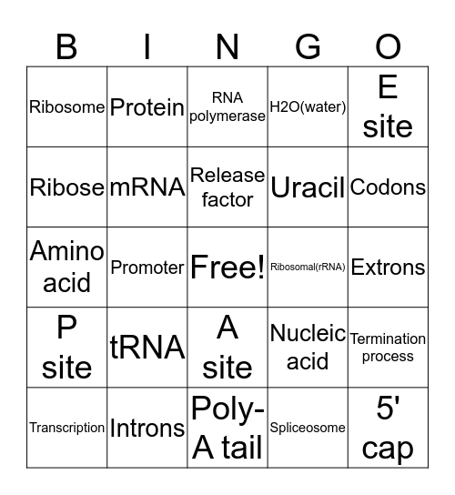 The Central Dogma of Biology Bingo Card