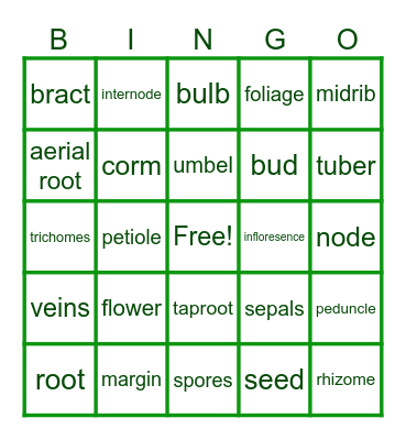 PARTS OF A PLANT Bingo Card