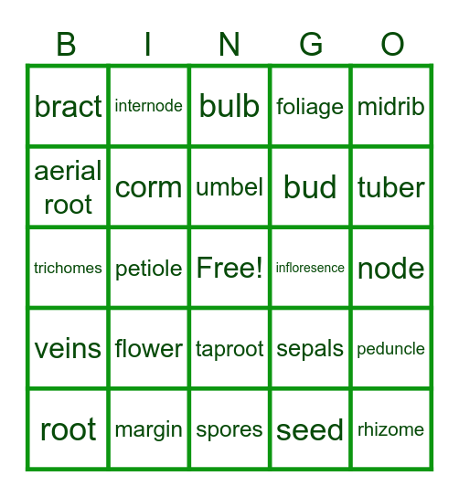 PARTS OF A PLANT Bingo Card