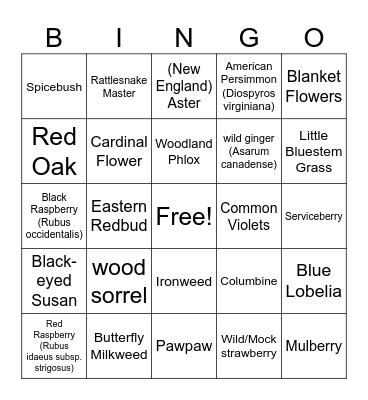 Native Ohio Plants Bingo Card