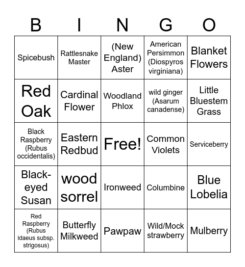Native Ohio Plants Bingo Card