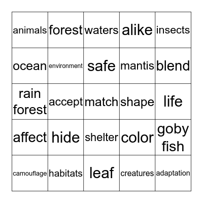 Hide and Seek Bingo Card