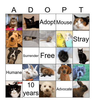 Animal Refuge League  Bingo Card