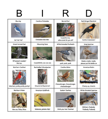 Bird Call Bingo Card