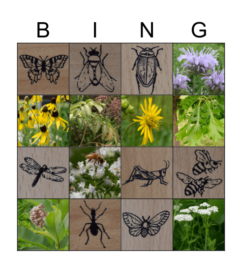 PRAIRIE BINGO Card