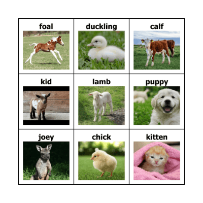 Animal Baby BINGO Card