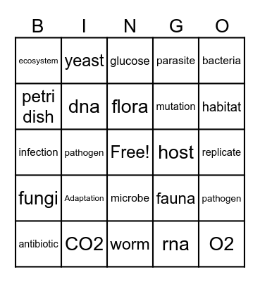 Biology Bingo! Bingo Card