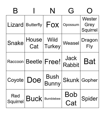 Kristy's Kritters Bingo Card