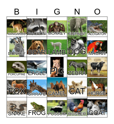 ANIMAL Bingo Card