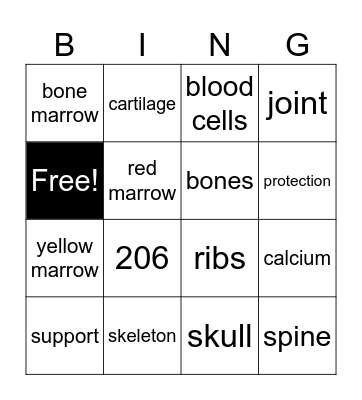 Skeletal System Bingo Card