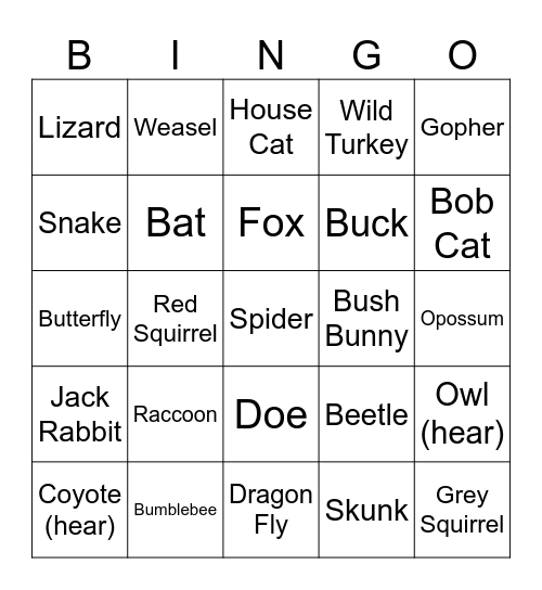 Kristy's Kritters Bingo Card