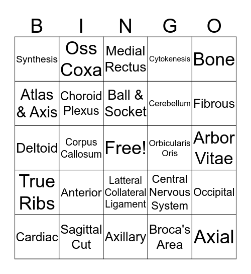 ANATOMY BINGO Card