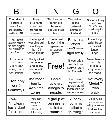 fun facts Bingo Card