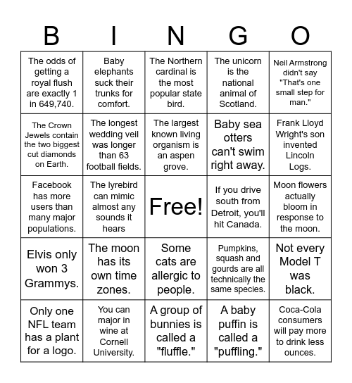 fun facts Bingo Card