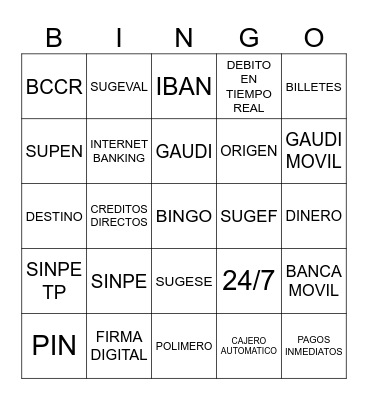 Bingo VISIÓN SINPE Bingo Card