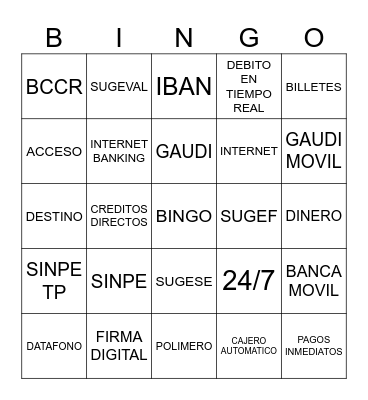 Bingo VISIÓN SINPE Bingo Card