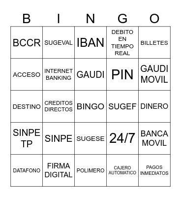 Bingo VISIÓN SINPE Bingo Card