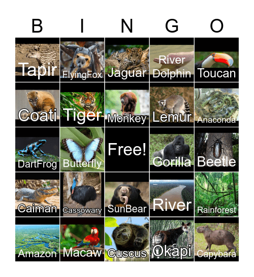 Rainforest Bingo Card