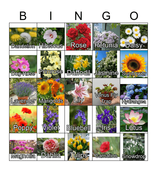 Flower Bingo Card