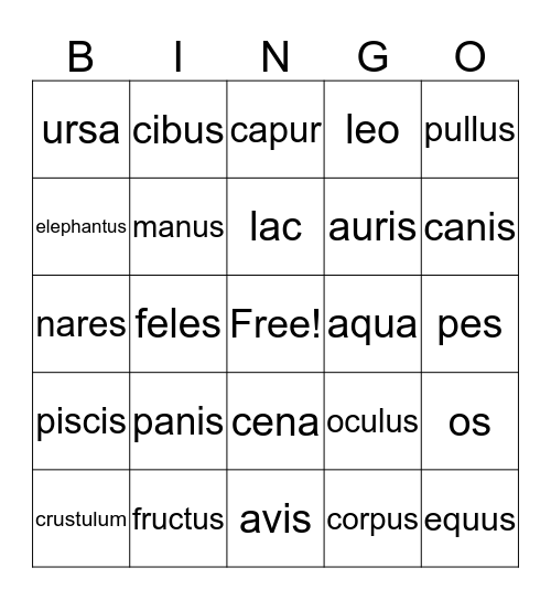 Latin Bingo Card